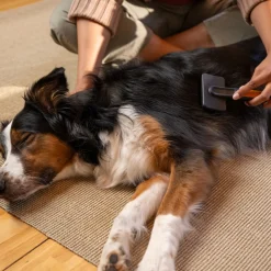hierova harja>Fiskars