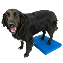 Balance Pad, 38 x 46 x 5 cm>FitPaws Online