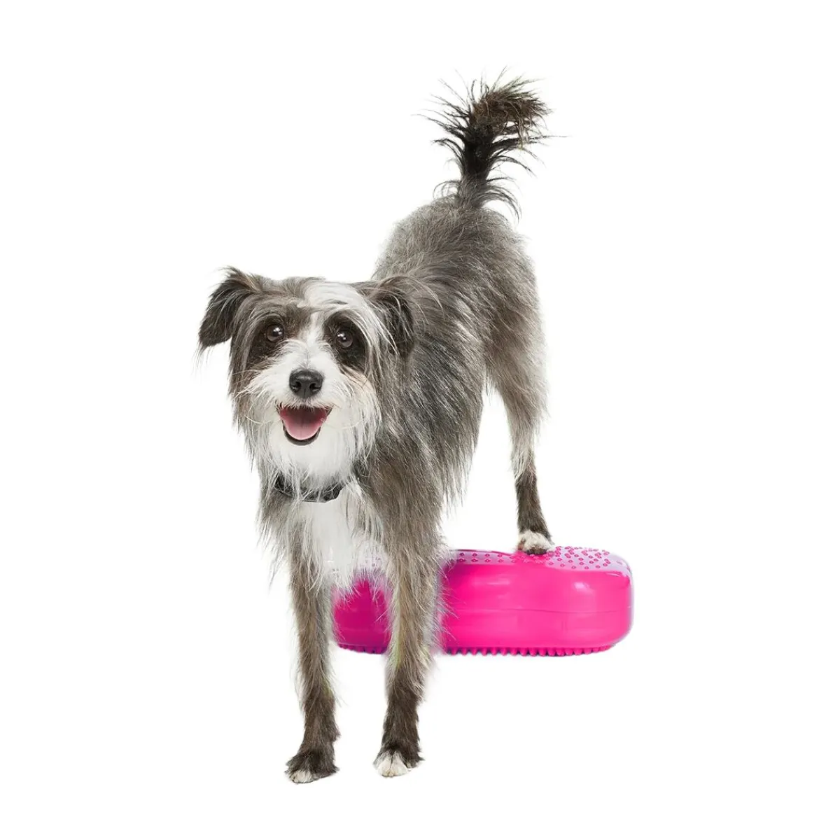 K9FitBone Mini, 29 x 17 x 7 cm, 2 kpl>FitPaws Outlet