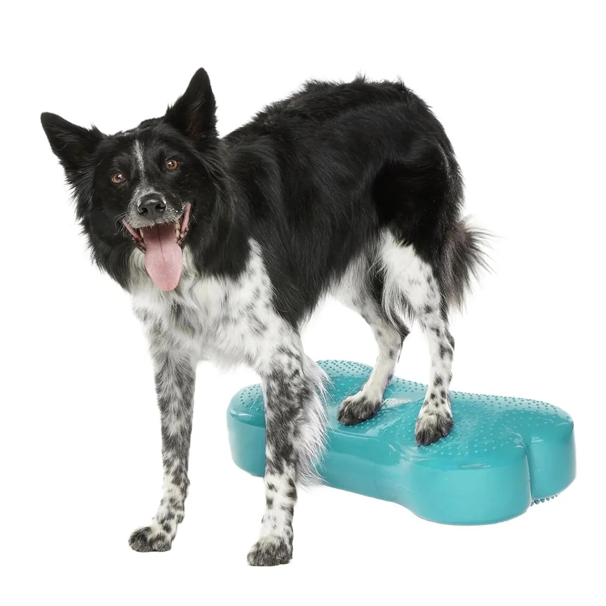 K9FitBone, 58 x 29 x 10 cm>FitPaws Hot