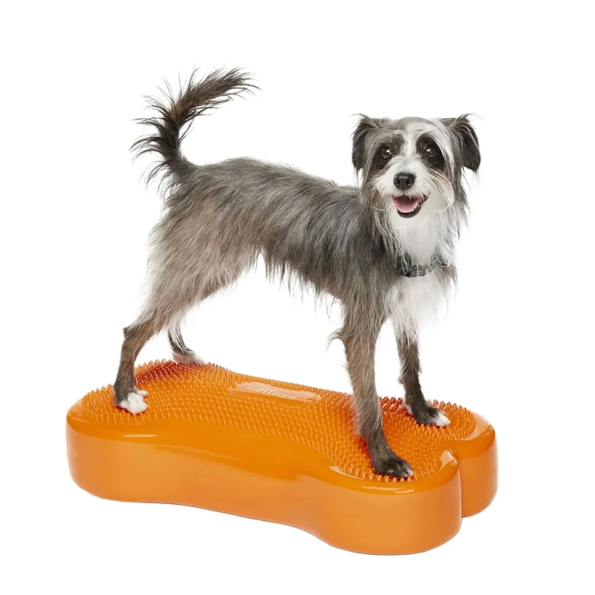 K9FitBone, 58 x 29 x 10 cm>FitPaws Hot