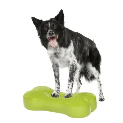 K9FitBone, 58 x 29 x 10 cm>FitPaws Hot