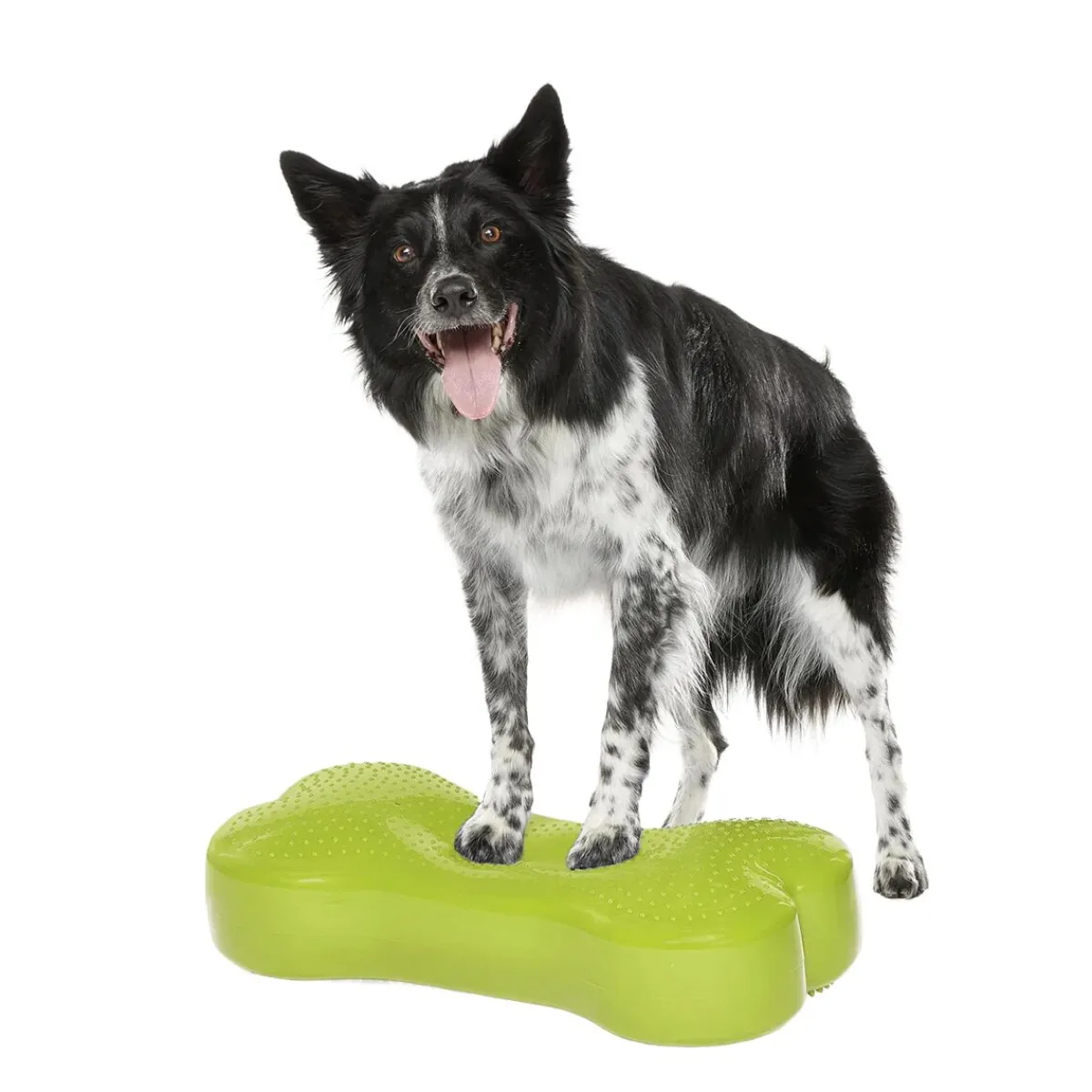 K9FitBone, 58 x 29 x 10 cm>FitPaws Hot