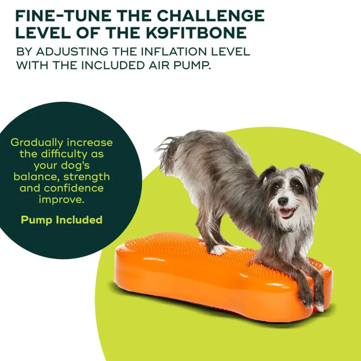 K9FitBone, 58 x 29 x 10 cm>FitPaws Hot