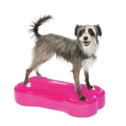 K9FitBone, 58 x 29 x 10 cm>FitPaws Hot