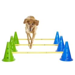 K9-kavaletti 58 x 29 x 10 cm>FitPaws