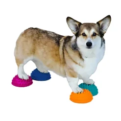 Paw Pods, 4 kpl>FitPaws New