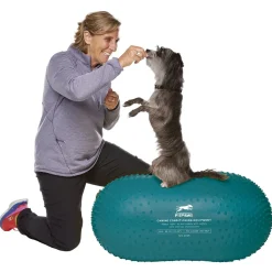 Trax Peanut Blue, 60 x 60 x 20 cm>FitPaws Discount