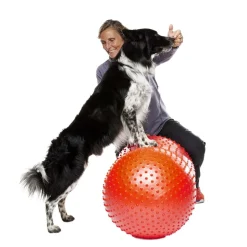 Trax Peanut punainen, 50 x 50 x 20 cm>FitPaws Online