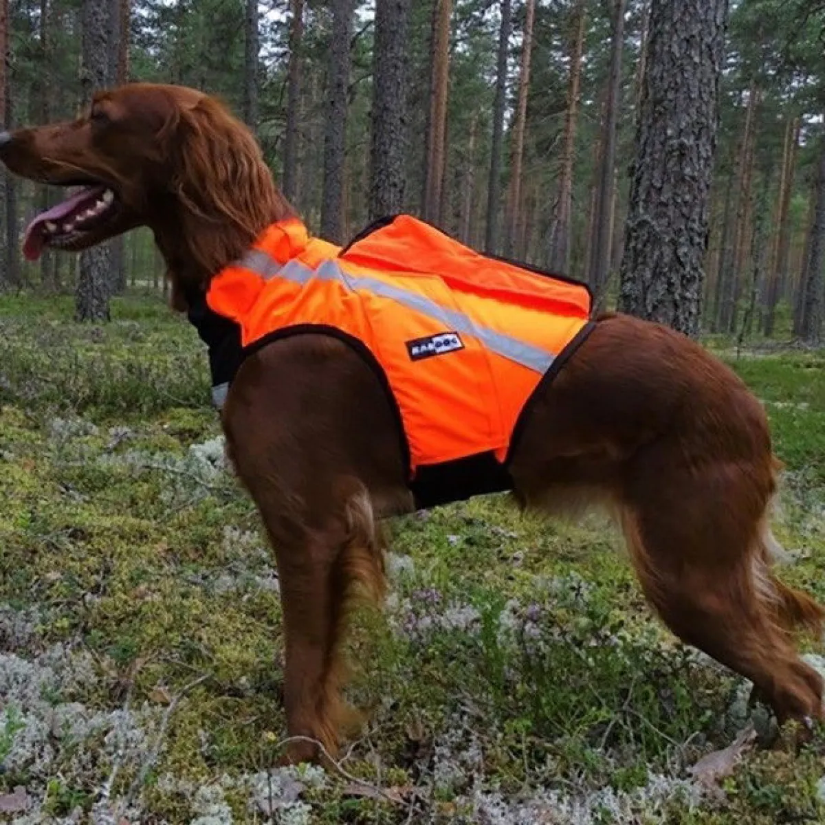 GPS-huomioliivi Inari,>Kardog Discount
