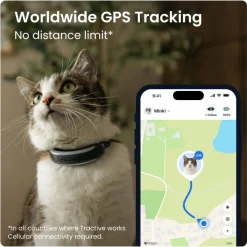 GPS kissalle CAT 6 Mini>Tractive Online