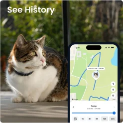 GPS kissalle CAT 6 Mini>Tractive Online