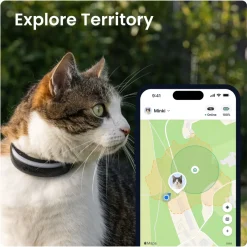 GPS kissalle CAT 6 Mini>Tractive Online