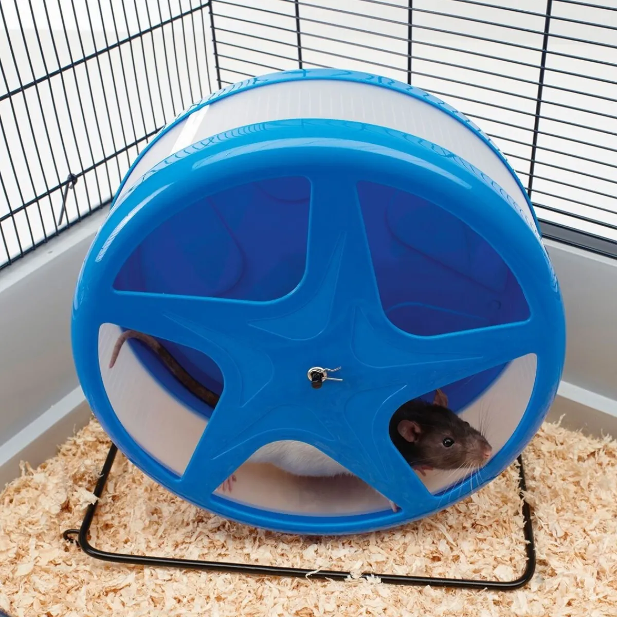 Hamsterin juoksupyörä Orbital, L>Savic New