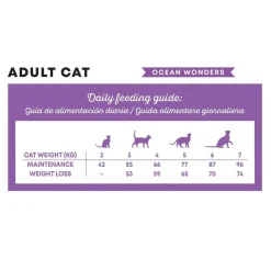 Harper & Bone Cat Adult Ocean Wonders>Harper and Bone Sale