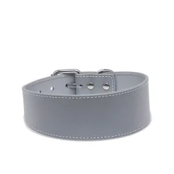 Heijastava panta>Collar of Sweden