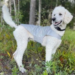 Heijastinliivi koiralle Brightly>Icepeak Pet Outlet