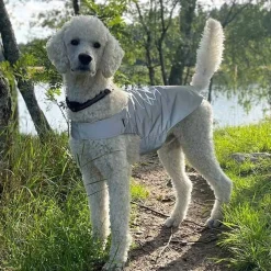 Heijastinliivi koiralle Brightly>Icepeak Pet Outlet