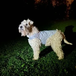 Heijastinliivi koiralle Brightly>Icepeak Pet Outlet