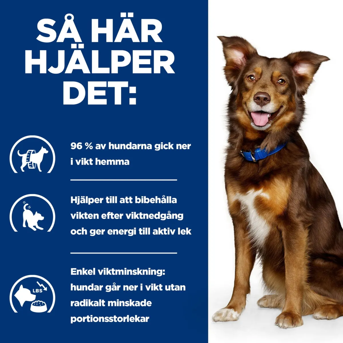 Canine Metabolic Weight Loss & Maintenace Chicken 2x12 kg>Hill's Prescription Diet Hot