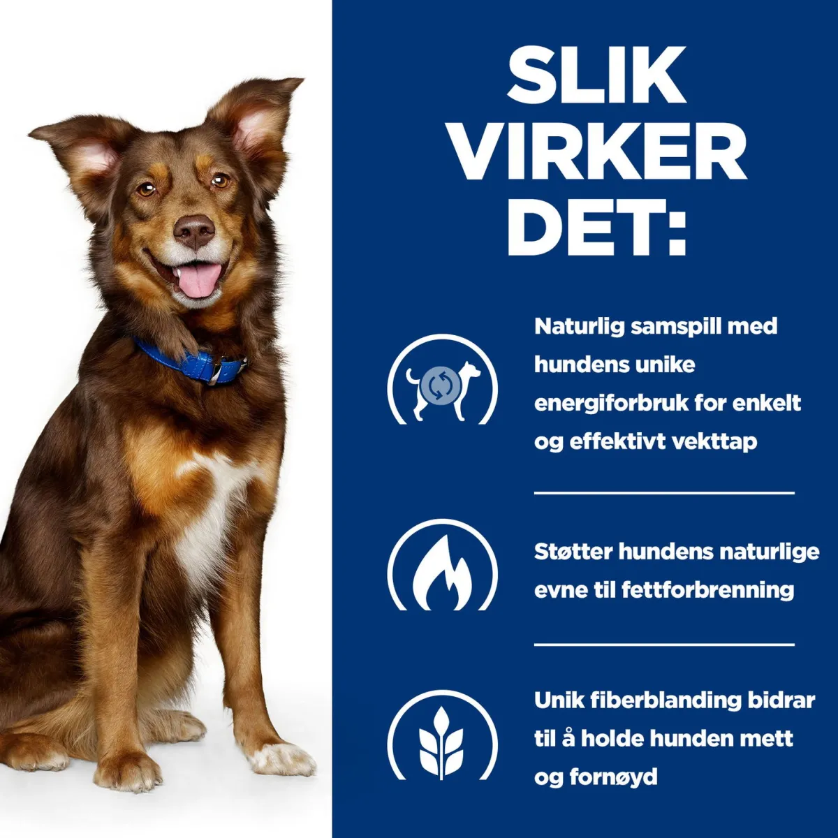 Canine Metabolic Weight Loss & Maintenace Chicken 2x12 kg>Hill's Prescription Diet Hot