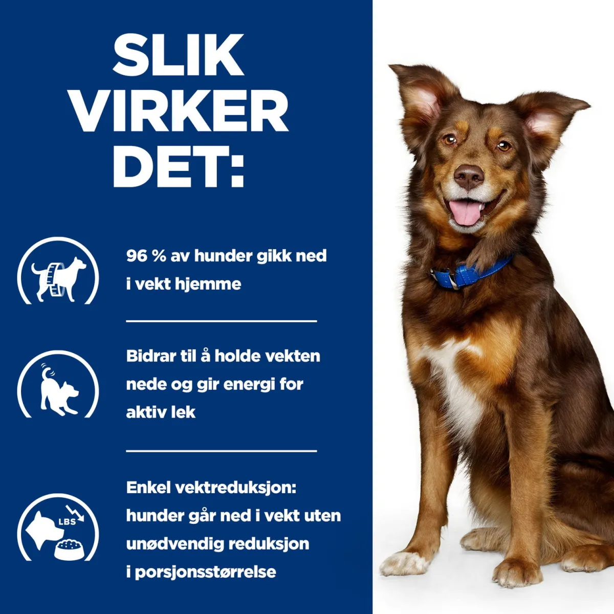 Canine Metabolic Weight Loss & Maintenace Chicken 2x12 kg>Hill's Prescription Diet Hot