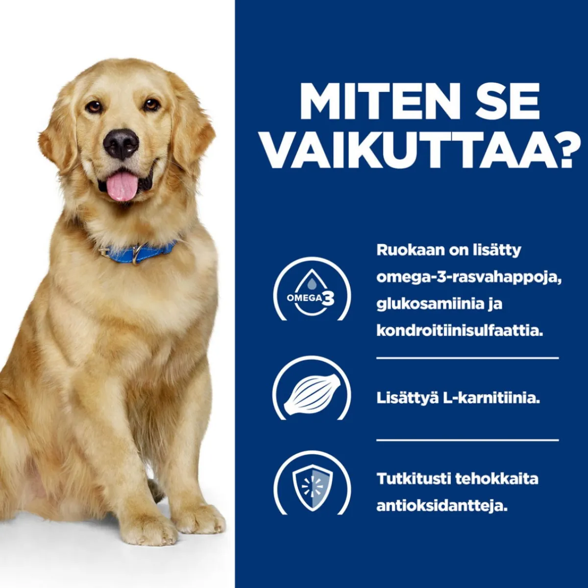 Canine j/d Joint Care Reduced Calorie Chicken 2x12 kg>Hill's Prescription Diet Clearance