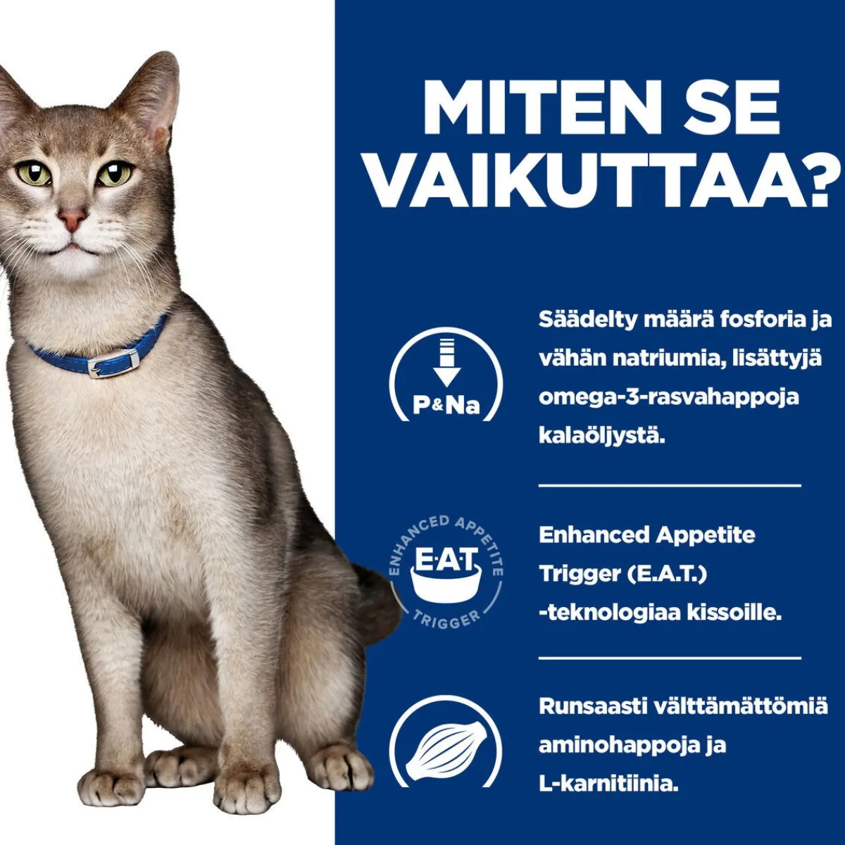 Feline k/d Chicken 156 g>Hill's Prescription Diet Best