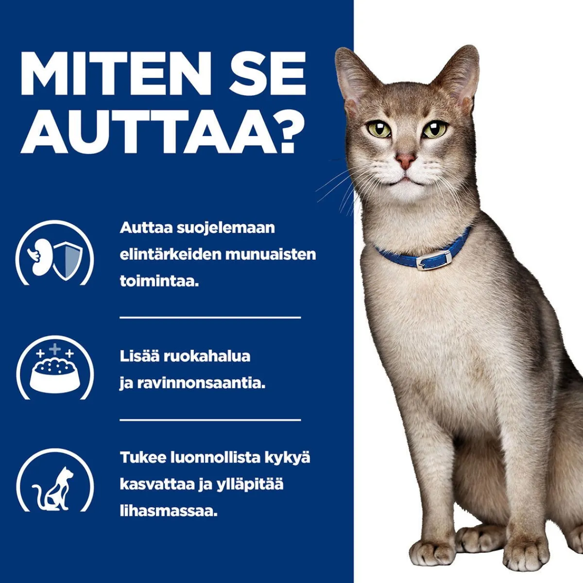 Feline k/d Kidney Care Tuna>Hill's Prescription Diet New