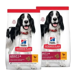 Hills Science Plan Canine Adult Chicken>Hill's Online