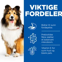 Science Plan Dog Sensitive Stomach & Skin Chicken & Vegetables 370g>Hill's Best