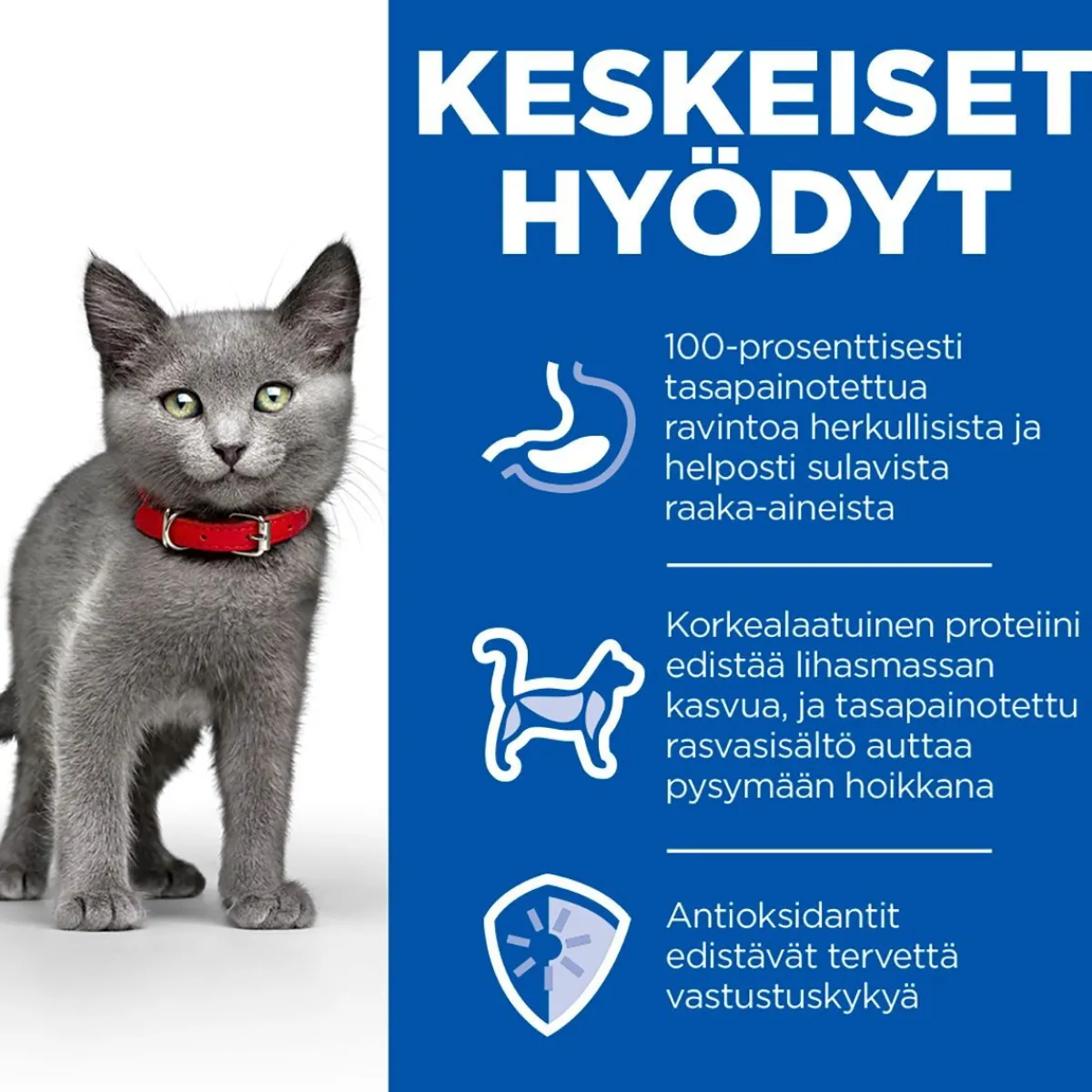 Science Plan Sterilised Kitten Kana 12 x 85 g>Hill's Hot