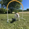 Hoopers Hoop>PetEasy Hot
