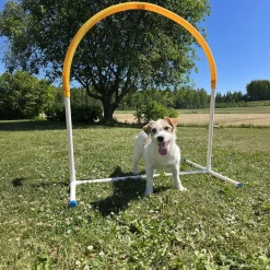 Hoopers Hoop>PetEasy Hot
