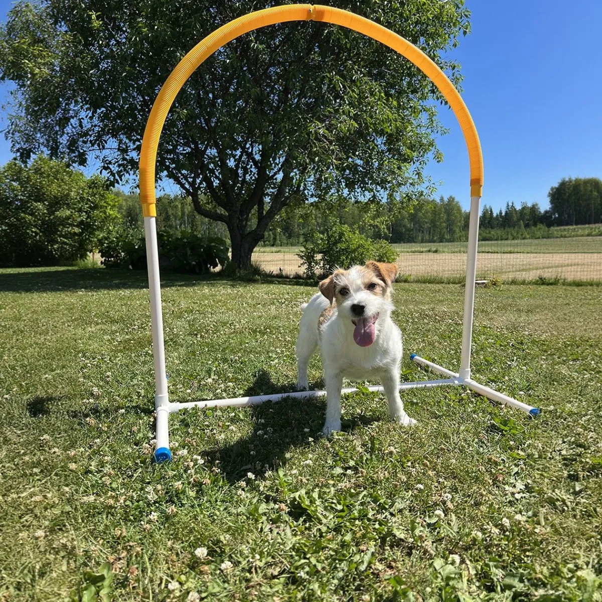 Hoopers Hoop>PetEasy Hot