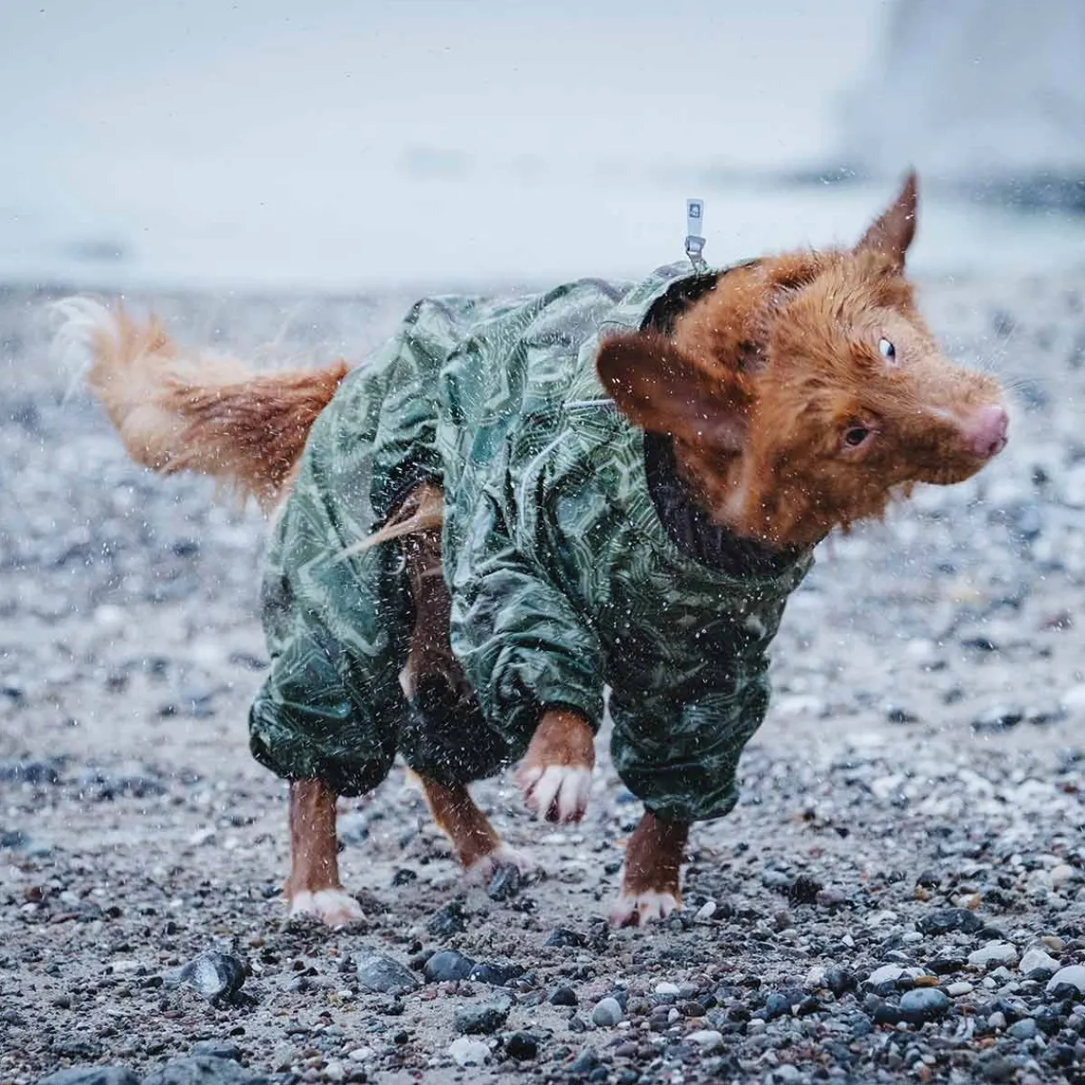 Downpour koiran sadehaalari camo>Hurtta Online