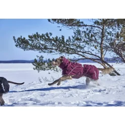 Extreme Warmer III ECO talviparka, munakoiso>Hurtta Discount