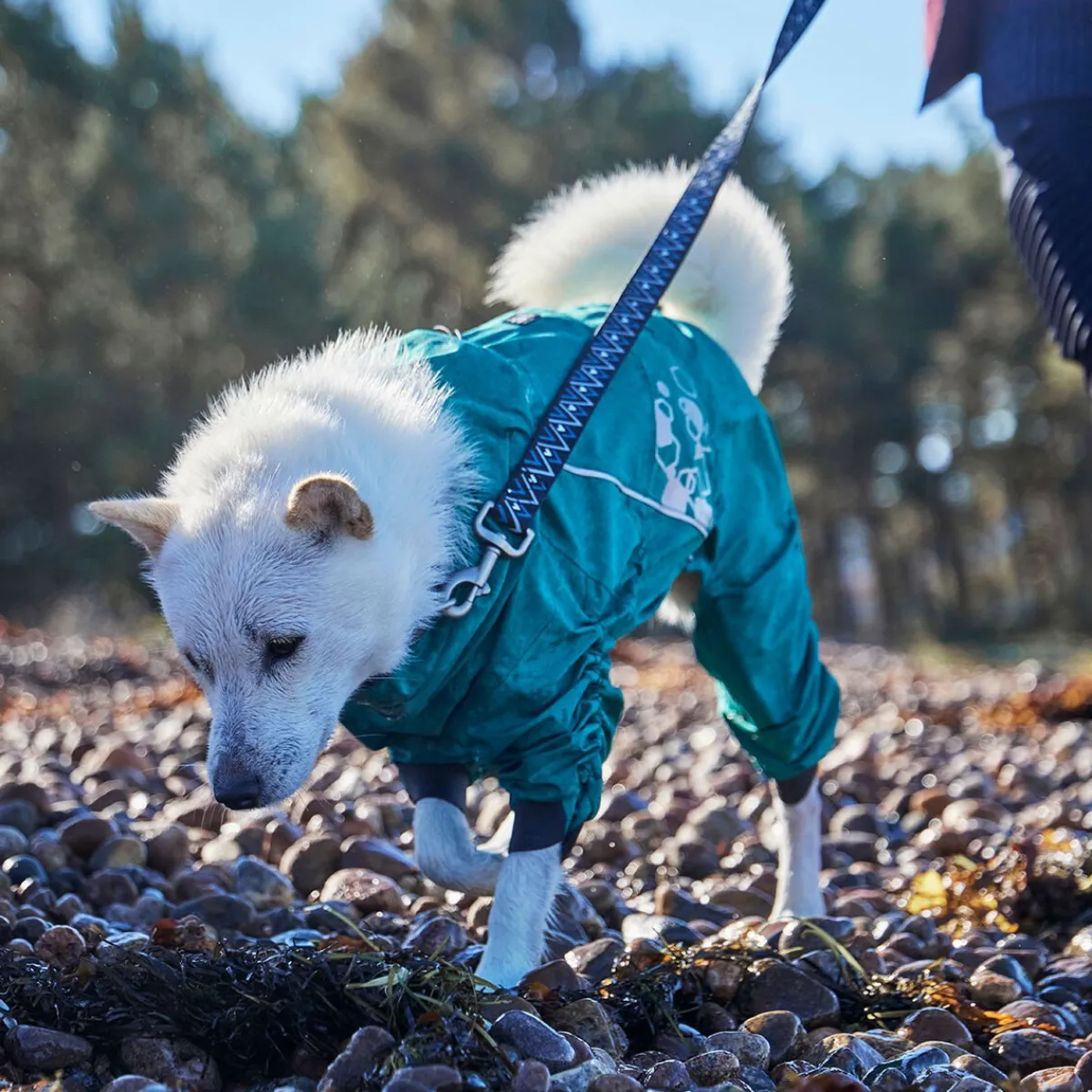 Mudventure ECO -koiran sadehaalari, riikinkukko>Hurtta Hot