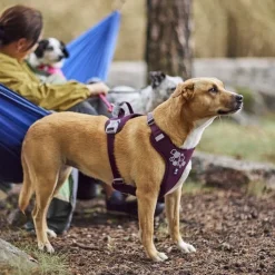 Weekend Warrior II ECO valjas, munakoiso>Hurtta Sale