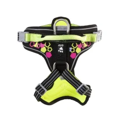 Weekend Warrior Neon-valjaat, lakritsi>Hurtta New