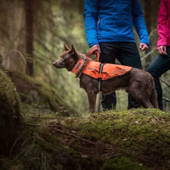 Icepeak Prozone huomioliivi, oranssi>Icepeak Pet Online