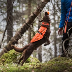 Icepeak Prozone huomioliivi, oranssi>Icepeak Pet Online