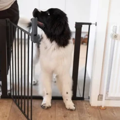 Jatkopala Lassie 7 cm 2 kpl, musta>DogSpace Discount