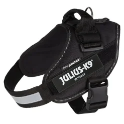 IDC Power koiran valjaat, musta>Julius-K9 Discount