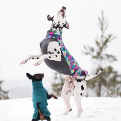Jumppa, Trail>Pomppa Hot