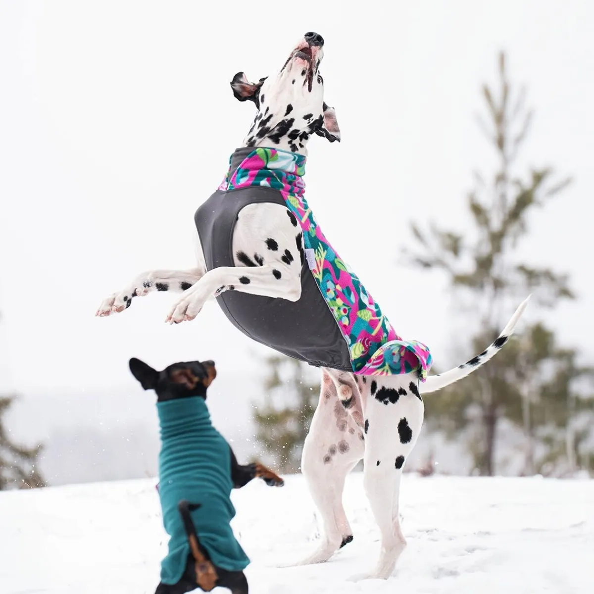 Jumppa, Trail>Pomppa Hot
