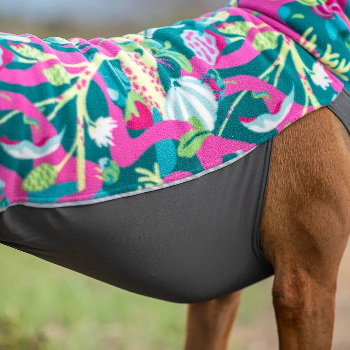Jumppa, Trail>Pomppa Hot