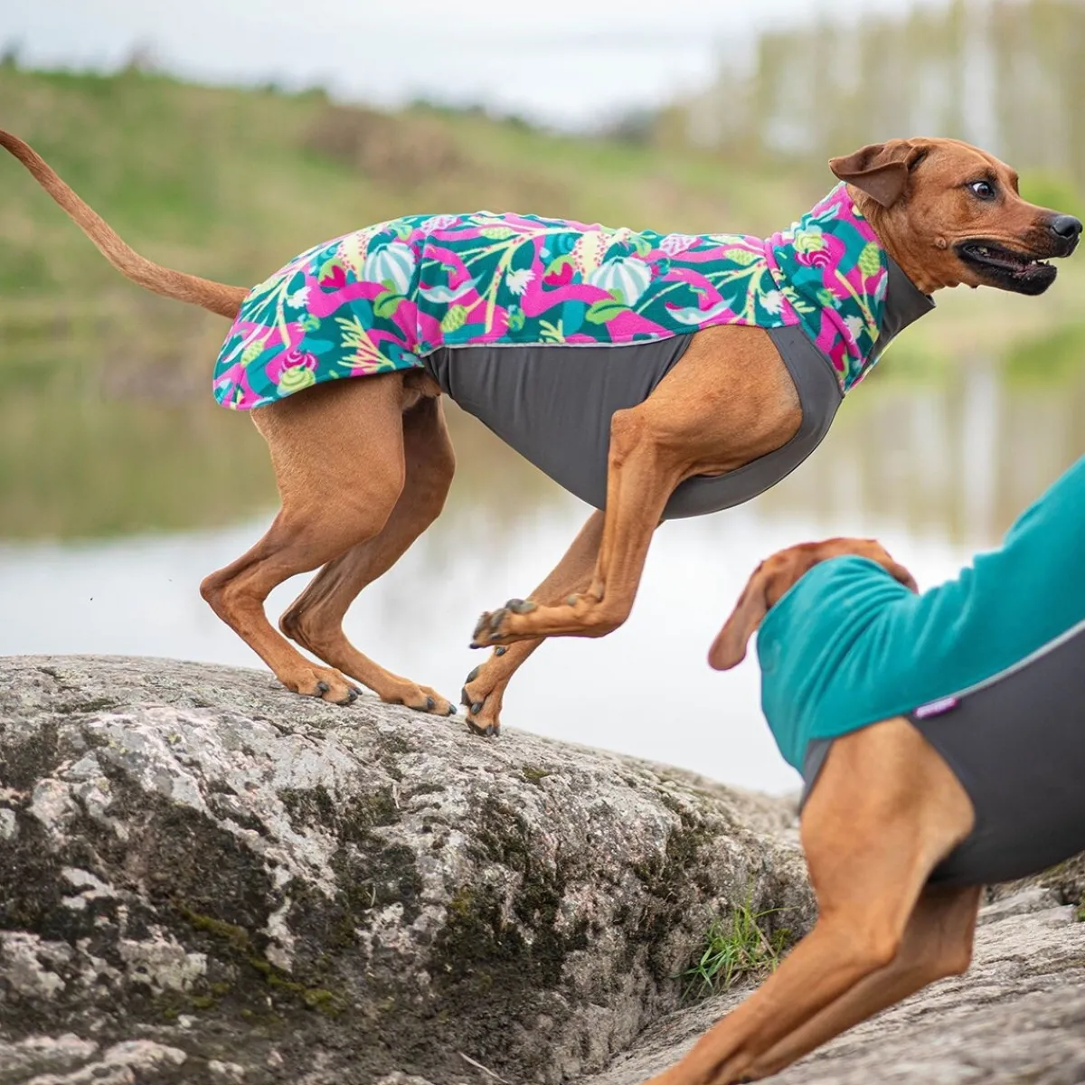 Jumppa, Trail>Pomppa Hot