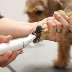 Pet Battery Multi-Trimmer 4in1>Kerbl Sale