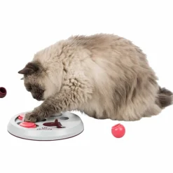 Kissan aktivointilelu Flip Board>Trixie